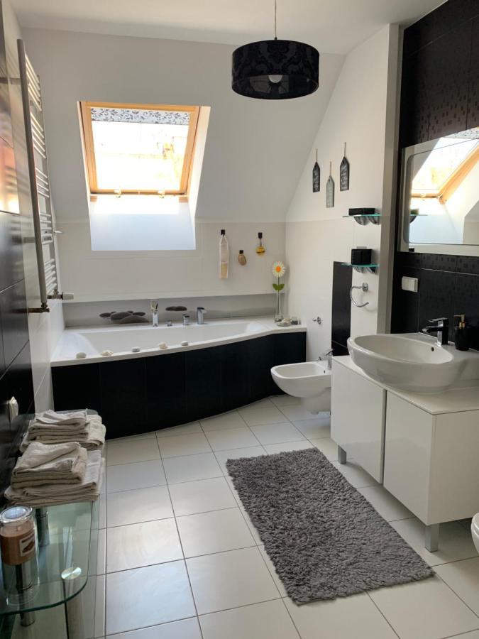 Silver Mazury Apartament 吉日茨科 外观 照片
