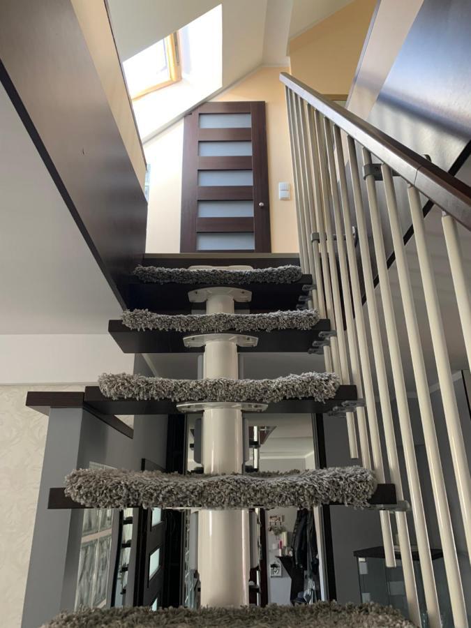 Silver Mazury Apartament 吉日茨科 外观 照片